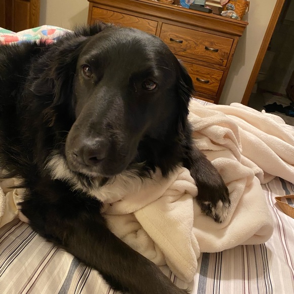 Meet your Posher, Susan - Picture 3 of 4